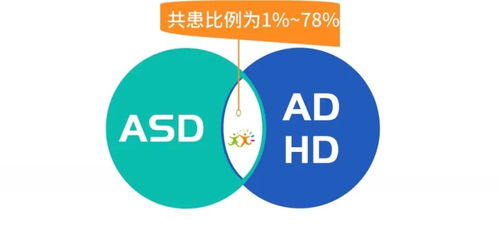 2024欧洲杯一共多少天开始