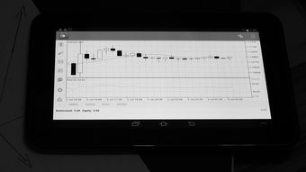 澳门平特一肖100%准资软件截图-pc分分28开奖预测：V84.88.45