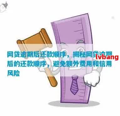 怎样解决凤凰金融网贷逾期？还款方法与责任人解析