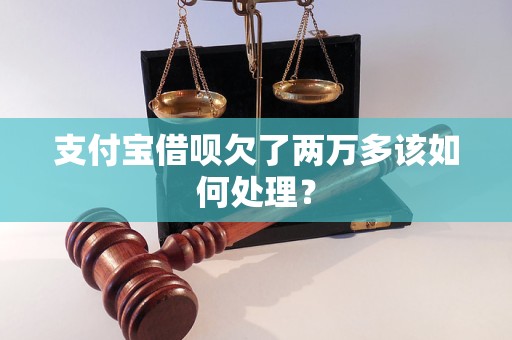 支付宝借呗欠了两万多该如何处理？